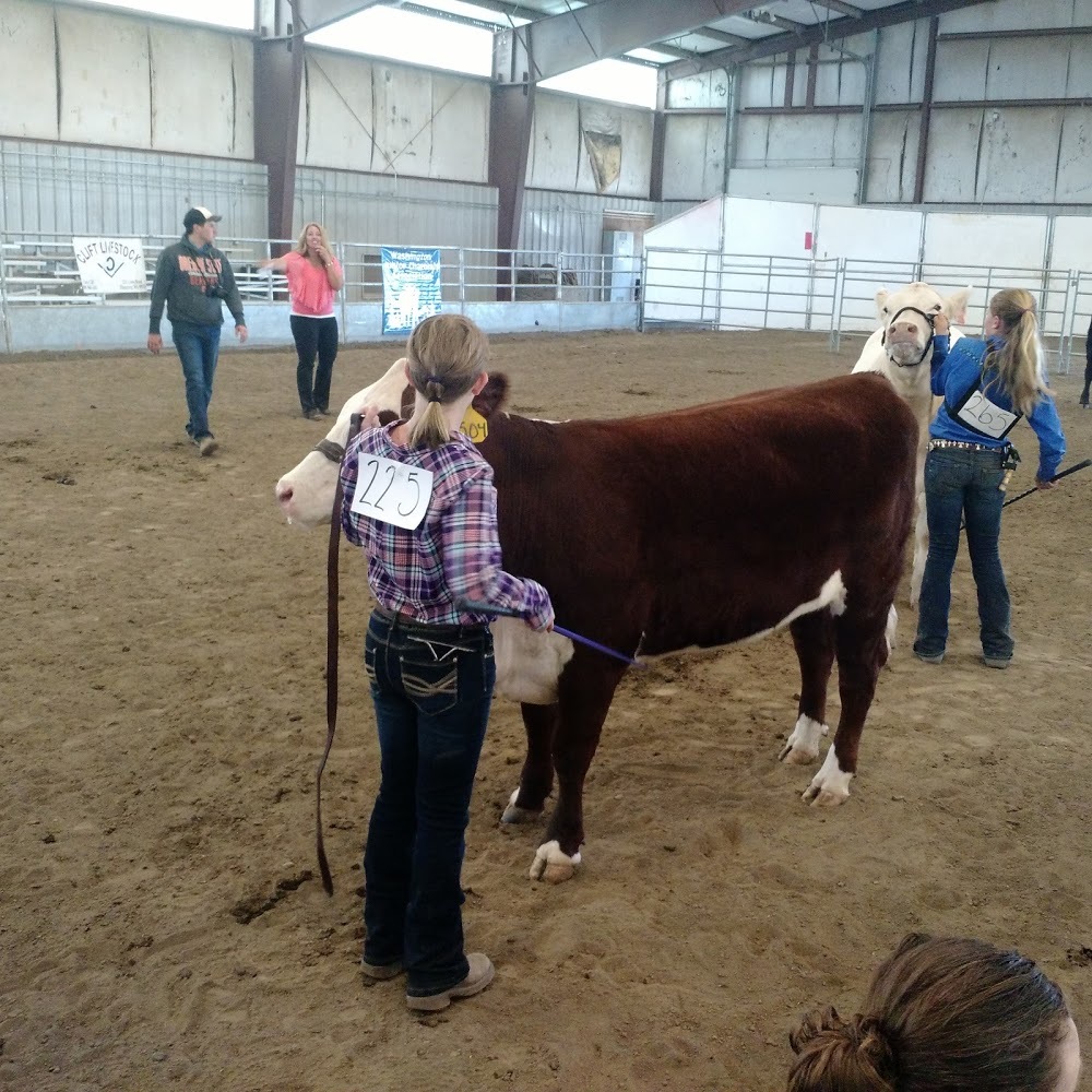 Meet your Posher, Grace